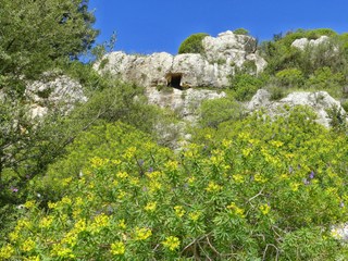 Tomba Timognosa